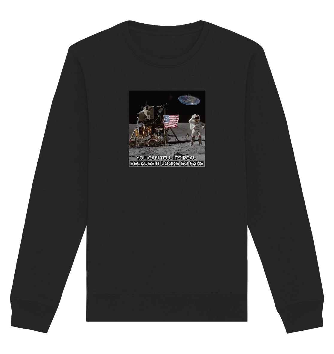 Addictive Programming Meme Flat Earth - Organic Basic Unisex Sweatshirt