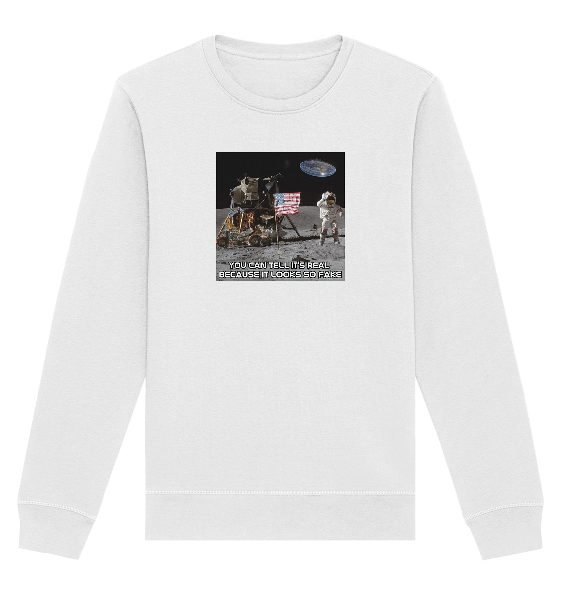 Addictive Programming Meme Flat Earth - Organic Basic Unisex Sweatshirt